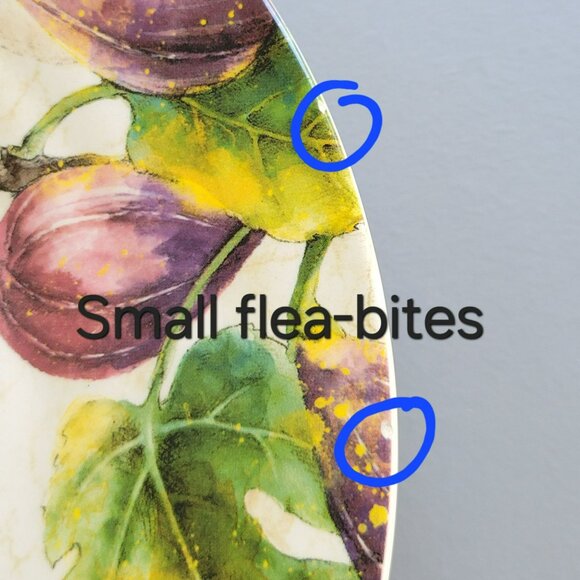 Pier 1 Verona Dinner Plate, Autumn Fruits, Pear Apple Leaves, Fall Kitchen Decor - Picture 5 of 11